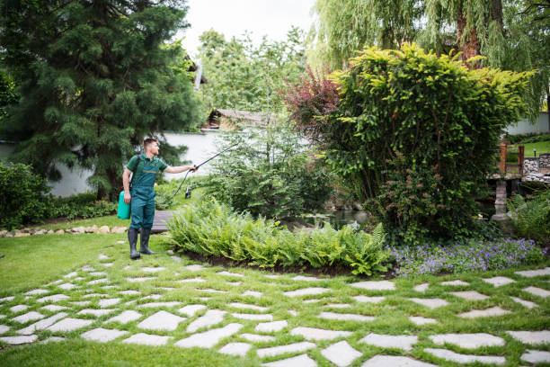 Best Cockroach Control Services  in South Rockwood, MI