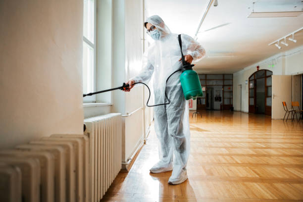 Best Termite Control Services  in South Rockwood, MI