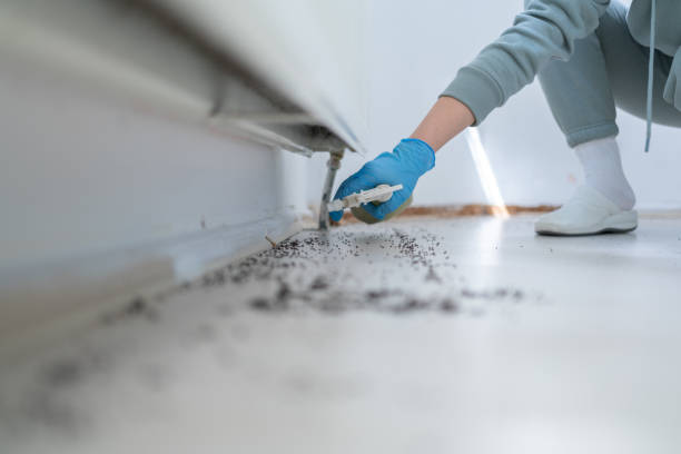 Best Pest Control Near Me  in South Rockwood, MI