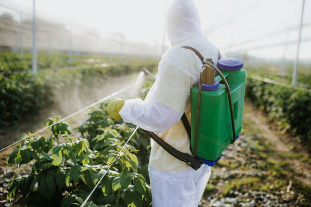 Best Pest Prevention Services  in South Rockwood, MI